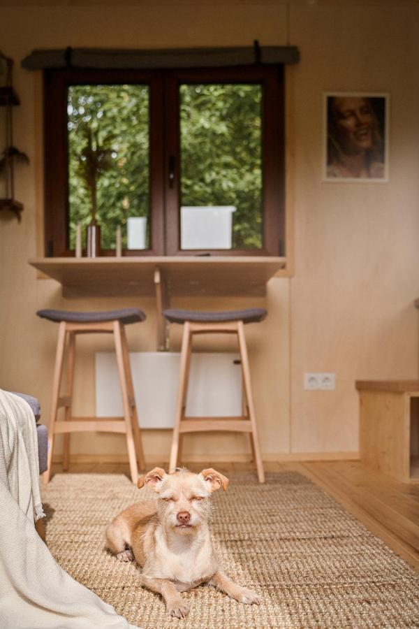 Tiny House Örebro Exterior foto